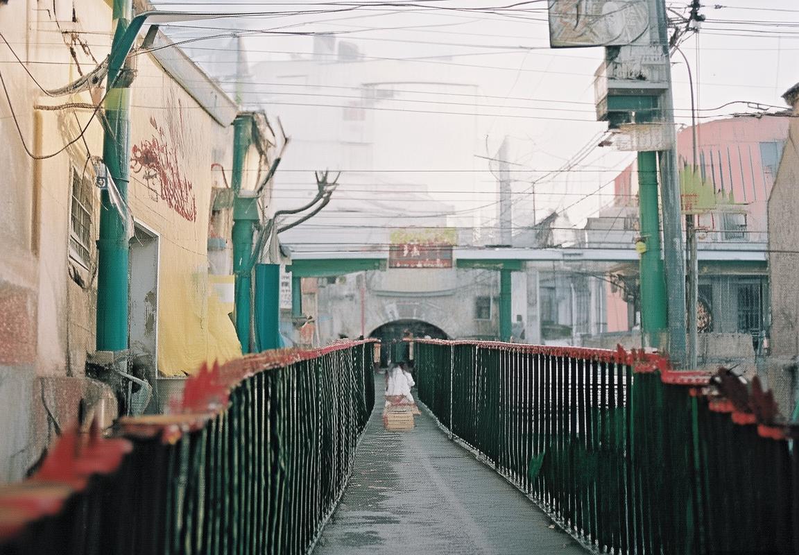 刘伯温九代预言应验：刘瑜隔世传承著旷世奇书